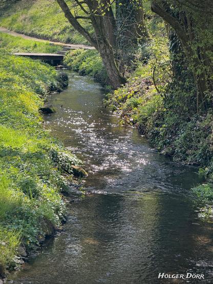 Ein schmaler Bach schlängelt sich sanft durch eine grüne Frühlingslandschaft. Sonnenlicht glitzert auf der Wasseroberfläche, während Bäume am Ufer zartes, frisches Laub tragen. Das Lichtspiel und die ruhige Strömung vermitteln eine friedliche, beinahe meditative Atmosphäre – ein stiller Moment im Fluss des Lebens.