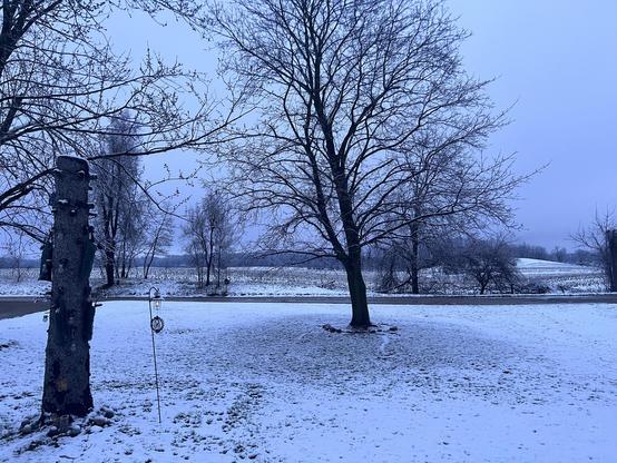 Snow (!) covers our front yard and the fields beyond it. Our red maple stands, still bare, in the center of the frame. Grey skies surround the scene. 