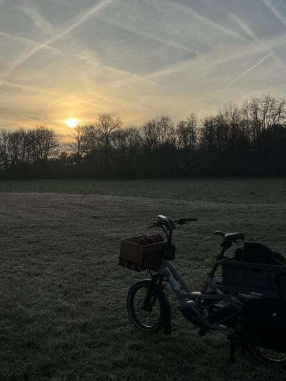 Sonnenaufgang und Kondensstreifen am Himmel. Im Vordergrund eine mit Reif bedeckte Wiese, auf der ein Tern GSD Longtail Lastenrad mit geflochtenem Lenkerkorb steht