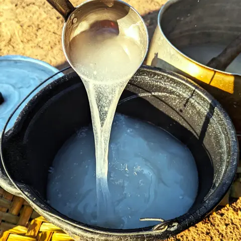A ladle emptying a thick manioc (yuca) juice into a bucket. The liquid is slightly opaque.