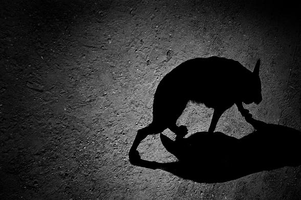  "It's not how a photographer looks at the world that is important. It's their intimate relationship with it."