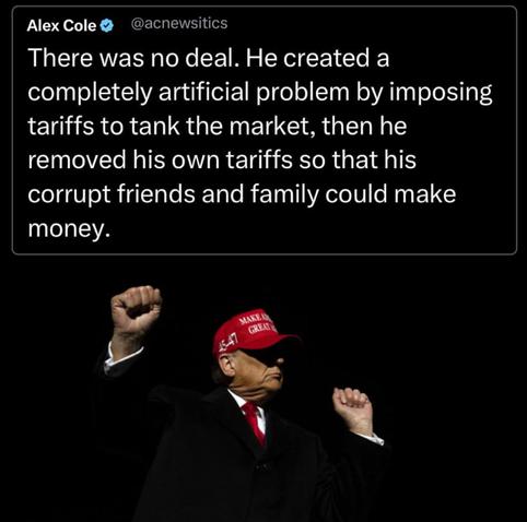 An image combining a tweet and a photo of Donald Trump. The tweet, by @acnewsitics (Alex Cole), criticizes Trump for creating an artificial economic problem with tariffs to benefit his associates. Below the tweet is a photo of Trump wearing a red “Make America Great Again” hat, raising both fists in a celebratory pose against a dark background.