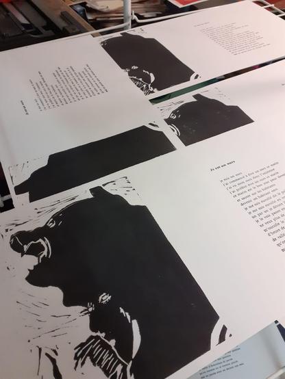 ours de st Laurent de Cerdans lors de la fête de l'ours, linogravure en noir