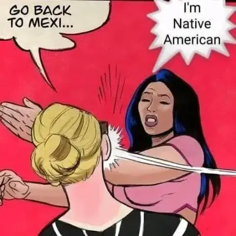 Un meme en el que se ve a una mujer blanca y rubia, diciéndole a otra, de aspecto indio, que se vuelva a México. La mujer india abofetea a la rubia, diciéndole que es nativa americana.