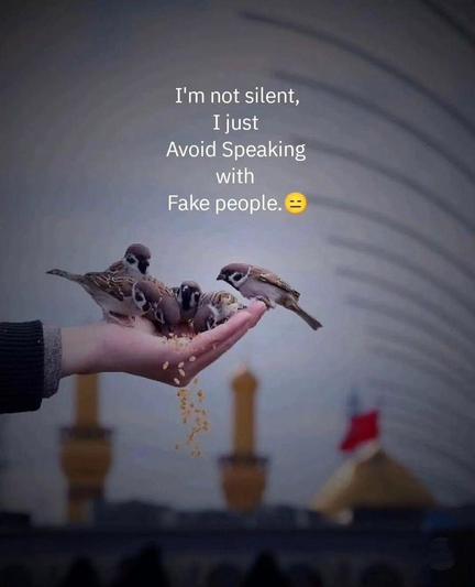 I’m not silent; I just avoid speaking with fake people.
