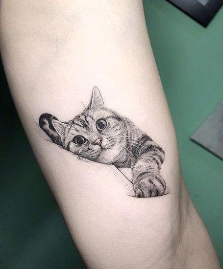 ALT

Tatuaje de gato 
