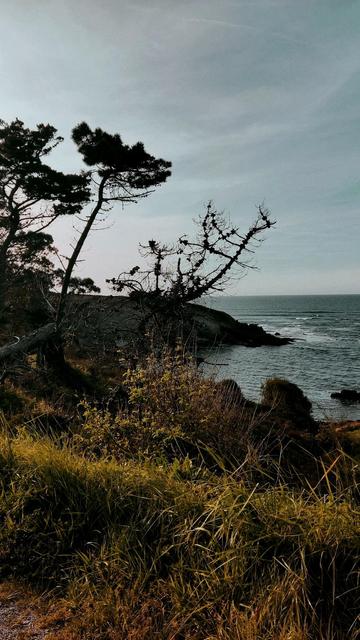Una fotografía de mi autoría de un paisaje de Comillas, Cantabria. Es un acantilado y se ve el mar