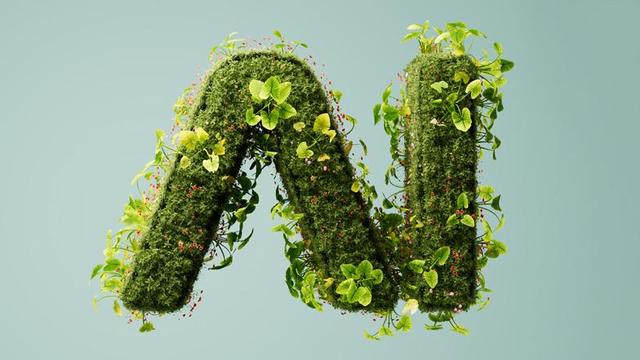 A stylized lowercase letter "a" and "i" made of dense, moss-like greenery, overgrown with various small plants and leaves. The organic structure appears vibrant and alive, with delicate vines and tiny blossoms winding around the letter. The background is a solid, light mint green, emphasizing the natural and fresh aesthetic of the design.
