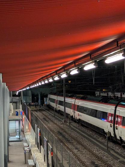 Sur la droite de la photo un Astoro ETR610 suisse parqué pour la nuit. Sur la gauche le toit rouge et les piliers en béton de la gare de Genève Sécheron