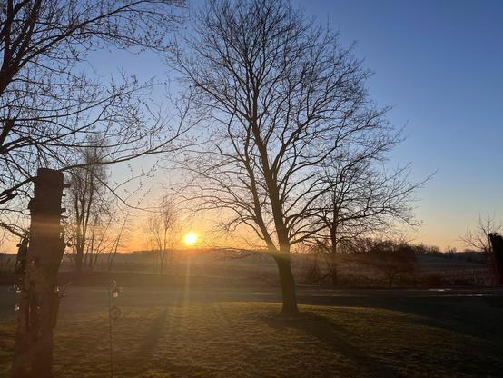 The sun rises above the hills across the road from our front yard. Nothing but blue skies abound. The grass is green; the red maple standing proud in the center is still leafless. 