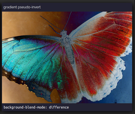 Pseudo-inversion of image using the difference blend mode. The butterfly goes from its original blue on the left to red on the right, this time passing through other hues rather than through a 50% grey.
