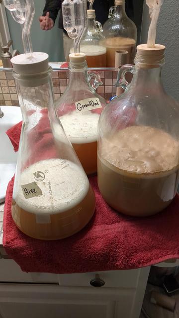 An Erlenmeyer flask and two other glass jugs sit on a red towel, all are partially filled with wort and fermenting yeast has put a cap of foam on the surface of all of them.

Some jackass is also flipping off the camera in the mirror behind them (it me).