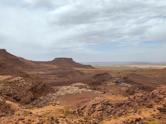 Photo showing dark red rocky outcrops of Late Cretaceous age covered by yellow sand and sparse vegetation in southern Morocco.