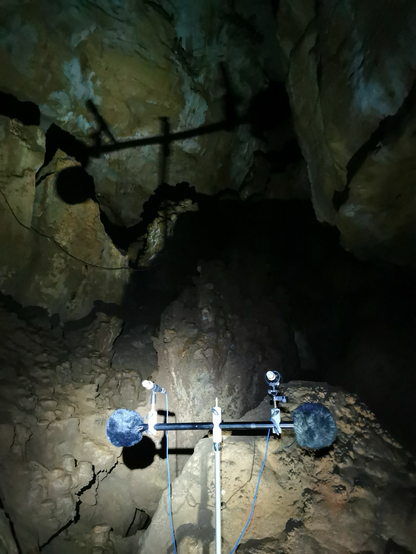 Acoustique naturelle remarquable.