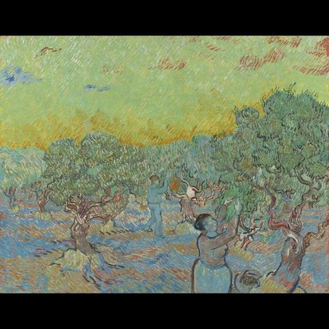 An impressionist painting capturing a bustling scene. The sky is yellow and blue, suggesting sunset or early morning light. The field is lush with green trees. People are depicted picking fruit, possibly oranges, under the watchful eyes of an olive tree. The brushstrokes are loose and energetic, typical of Van Gogh’s style.