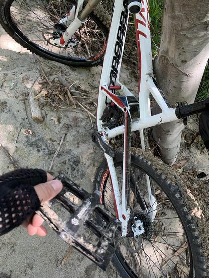 A hand holds a bike pedal in front of a mountain bike with a missing pedal