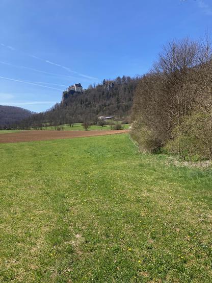 Die Ostseite von Schloss Werenwag. Die Burg steht auf einem Felssporn hoch über der Donau. Davor grüne Wiesen, ein Acker und Mischwälder. 