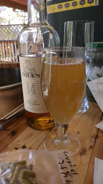 A small glass with yellowish liquid in it, this is the hot scotchy, a bottle of Oban 14 can be seen peeking out from behind the drink
