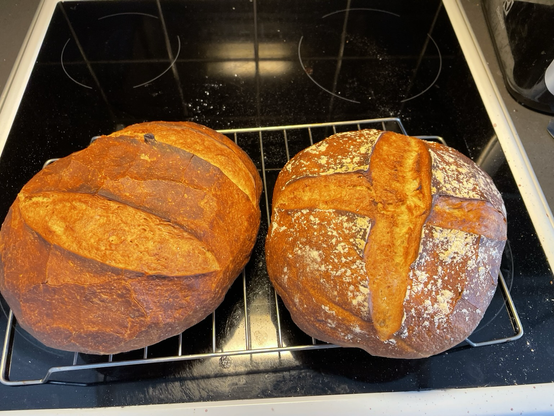 Sourdough bread, Home baked 
