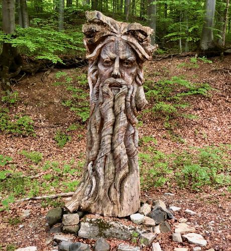 A sculpture created from a tree stump in the middle of the forest. The artwork depicts a bearded man.