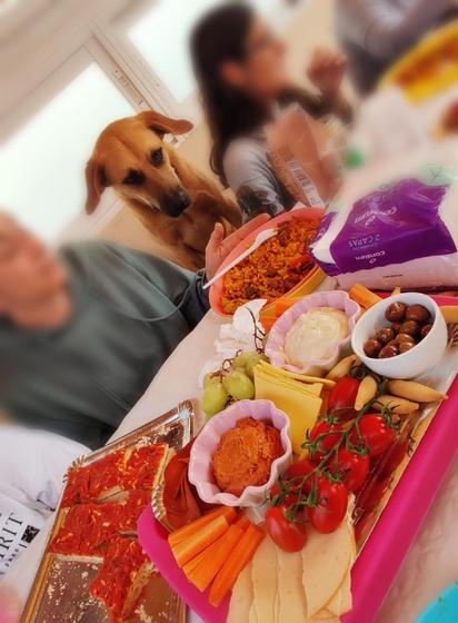 En esta foto aparece una mesa llena de comida colorida y apetecible, con varias personas sentadas alrededor. Entre ellas, destaca un perro de color miel que observa intensamente los platos, especialmente uno con arroz que alguien sostiene. Su mirada está fija y curiosa, claramente anhelando probar lo que hay en la mesa. La escena transmite un momento familiar y divertido, con el perro como un comensal más, fascinado por el festín frente a él.