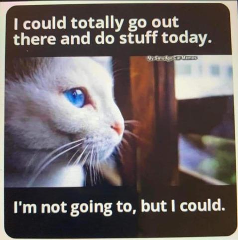 A blue eyed white furred cat staring out of a window. Above him it states:
"I could totally go out there and do stuff today."
Below him it states:
" I'm not going to, but I could."
A blue eyed white furred cat staring out of a window. Above him it states:
"I could totally go out there and do stuff today."
Below him it states:
" I'm not going to, but I could."