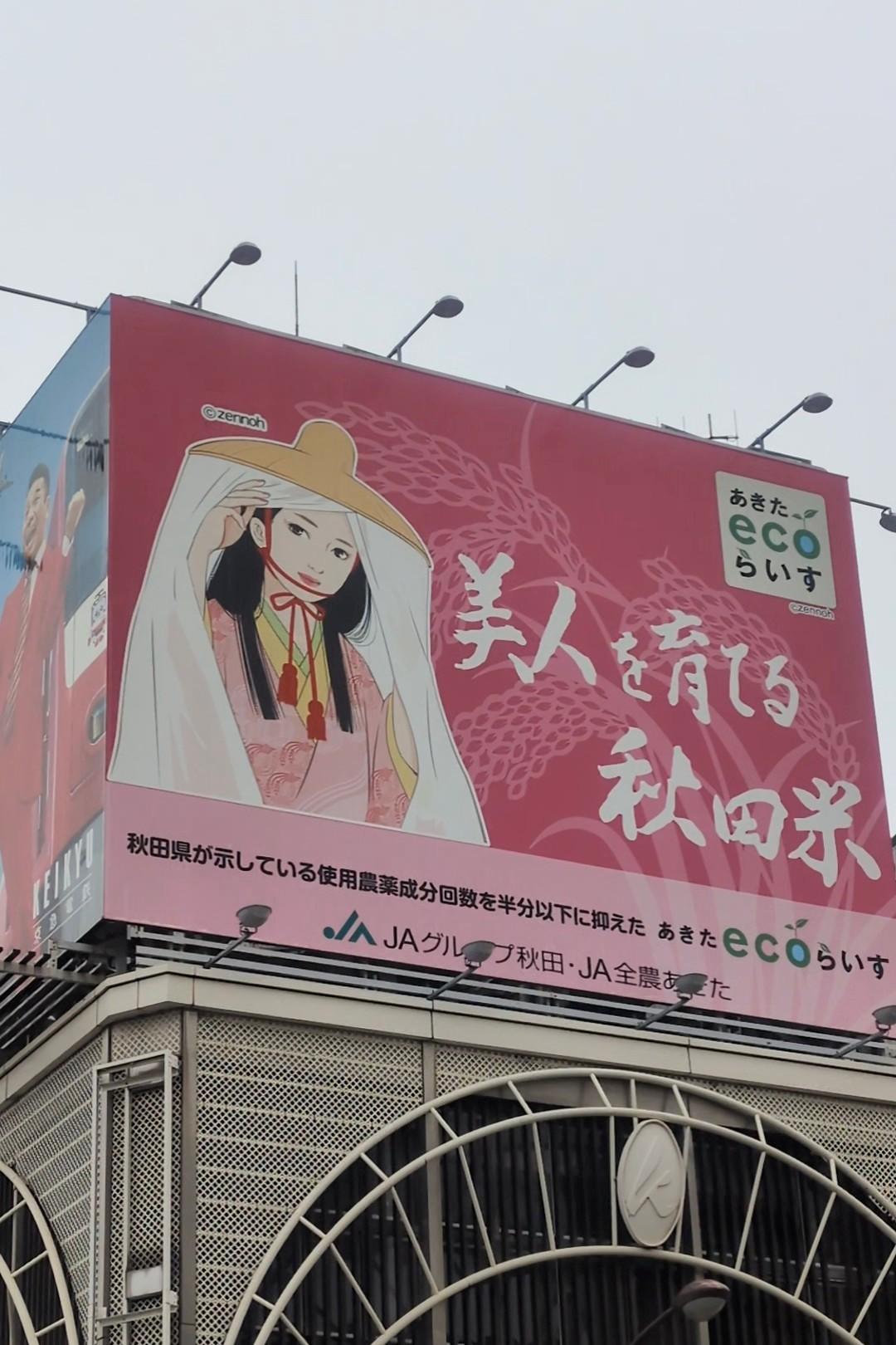 秋田米 美人を育てる 米 秋田米 美人を育てる