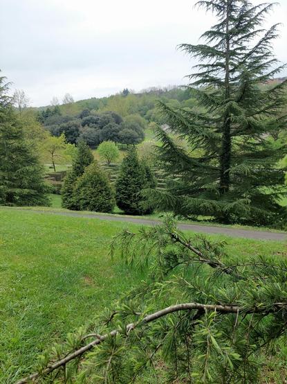 Green landscape with grass and trees