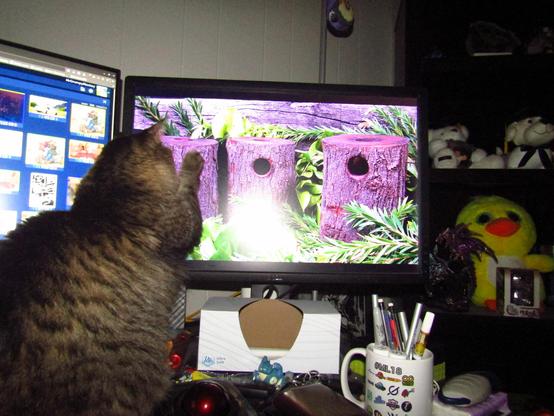 Goobie [cat] attempting to cat mice through a screen. Captured with the flash on.