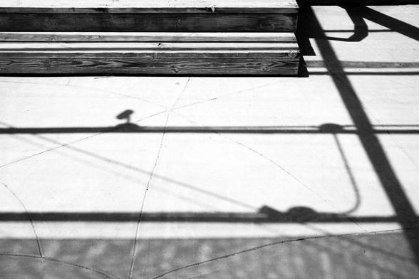 Grid of shadow lines in discrete shades.