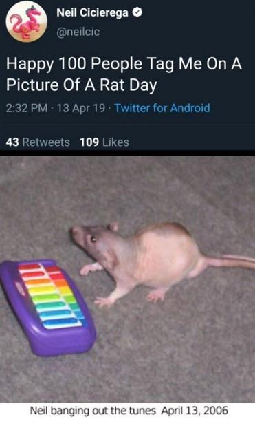 A picture of Tumblr's famous "Neil banging out the tunes, April 13, 2006" picture of a rat playing a small purple keyboard with rainbow keys. There is a tweet above it from Neil Cicierega that reads "Happy 100 People Tag Me On A Picture Of A Rat Day."