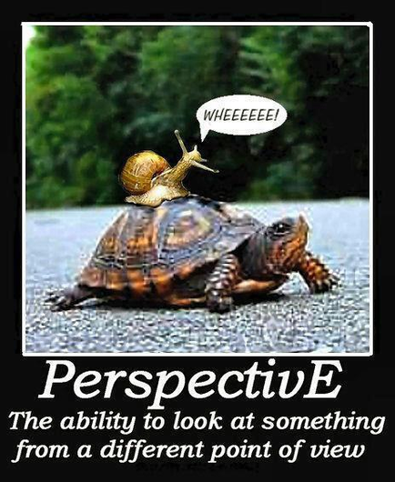 Perspective: the ability to look at something from a different point of view.
Image of a snail on the back of a turtle screaming "Wheeeee!"