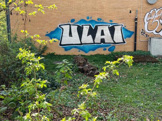 Das Wort „ULAI“ als Graffiti, halb verborgen im Grün – Erinnerung an eine Sprache, die im Stadtbild  von Gießen weiterlebt.