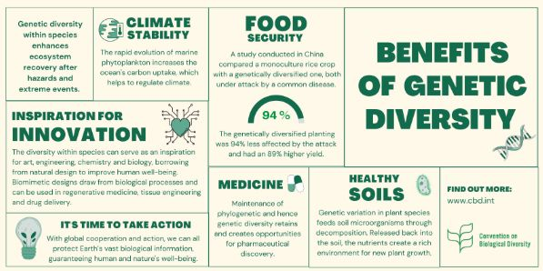  Genetic diversity is the hidden foundation of life — powering resilience, adaptation, and food security. As climate and environmental pressures rise, protecting our planet’s genetic library is more vital than ever. 