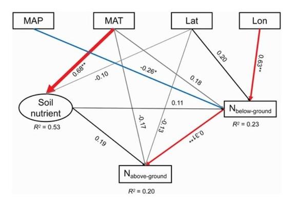 Final fitted structural equation models depicting relative effects of climate, geographical position, soil nutrient and moss N content in above-ground and below-ground parts.