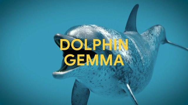 DolphinGemma 