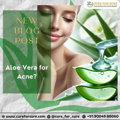 🌿✨ Aloe Vera for Acne? A Natural Solution! ✨🌿

📌 Follow us for more natural skincare tips!
🌟 Take Charge of Your Health Today! 🌟
🔗 Visit cureforsure.com for expert health tips!
📲 Join Our WhatsApp Channel: https://shorturl.at/fCb5x
📸 Follow us on Instagram @cure_for_sure
📩 Contact Us: +91 9004980060
📖 Read More: https://cureforsure.com/blog/2024/08/06/aloe-vera-for-acne/
#AloeVera #AcneFreeSkin #NaturalGlow #ClearSkinTips #HolisticHealing #AyurvedicBeauty #SkincareGoals #CureForSure #HealthySkin #OrganicSkincare #GlowUp #AcneSolution #NaturalRemedies #SkinCareRoutine #BeautyTips #ClearSkinJourney #SelfCareSunday #SkinHealing #AcneScars #GlowingSkin