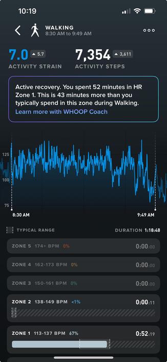 Stats for a walk workout