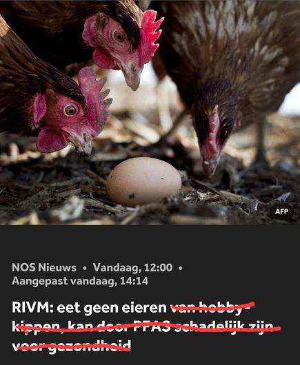 Drie bruine kippen kijken naar een ei op de grond. Onder de afbeelding staat een nieuwsbericht van NOS met de kop: "RIVM: eet geen eieren (van hobbykippen, kan door PFAS schadelijk zijn voor gezondheid)", waarbij het gedeelte van de tekst tussen haakjes is doorgestreept met rode lijnen.