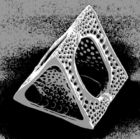 the equilateral face of a simple triangular solid is forward and prominent. the largest visible side is a foreshortened square taken up by a large circular aperture through which a fraction of the mysterious interior may be viewed. scant visual clues reveal this structure has symmetry across its two triangular faces as well as its three square sides.

there are many dimpled penetrations throughout the surface of its architectural form. are they the result of hydrolithic erosion or biological processes? made of polymer filament or calcareous bone?

the image is presented in a compact palette, only white, middle gray, and black pixels with white only used to define the extremities of the figure. this figure, organically familiar yet crisply geometric sits on a simple plane with no no other features to imply its scale. behind, a liminal wasteland of image compression artefacts trails off to an uncertain distance.

