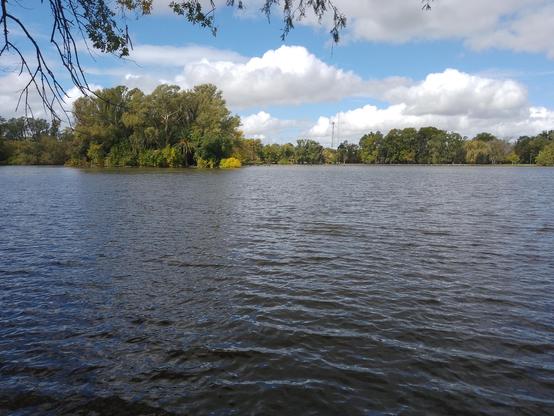 Paisaje de un cuerpo de agua con vegetación de fondo y un cielo con nubes blancas