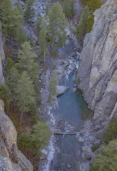 nothing compares to stopping on the long drive at the bridge over Sunlight Creek. 150m vertical looking over the railing in that deep narrow gap. slightly vertiginous 😜. glad it was not windy today. 