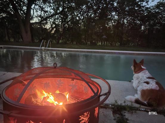 It's dusk and a low burning fire is going on in the foreground. A heeler dog looks on in the distance.