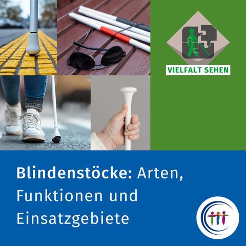 Bilder von verschiedenen Langstöcken.