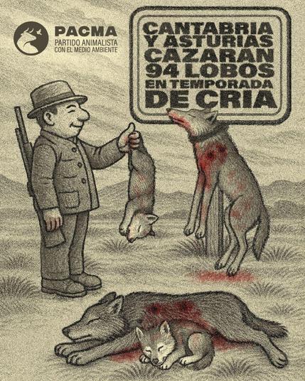 Dibujo estilo a lápiz donde se ve a un cazador con sombrero con una cría de lobo agarrada en la mano, cabeza abajo, un lobo adulto muerto, con marcas de sangre y disparos, y otros dos lobos, adulto y cría, muertos en el suelo. En la esquina superior derecha se lee "Cantabria y Asturias Cazarán 94 lobos en temporada de cría". En la esquina superior izquierda, el logo de PACMA.