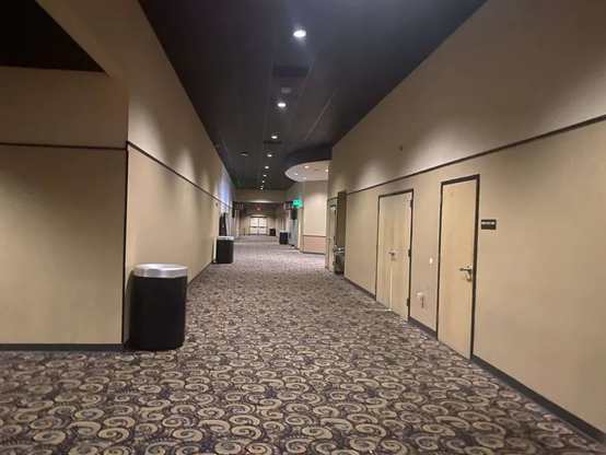 A dimly lit hotel hallway featuring patterned carpet, multiple doors, and trash bins on each side creating a quiet atmosphere.