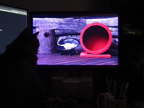 Goobie watching a video with a bunch of mice scurrying around.