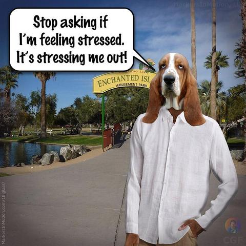Created by C.G.Ferman
Bodie Basset is outside in a park. He is dress nice, but very casual. He says,
“Stop asking if I’m feeling stressed. It’s stressing me out!” 
= = = = =
Stressed
©2020 Markers In Motion, LLC. &. Christopher G. Ferman
This content is subject to copyright.
www.MarkersInMotion.com 