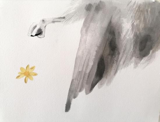 Dessin à l'encre et à l'aquarelle sur papier où sont visibles une aile, une patte de rapace repliée et une fleur jaune