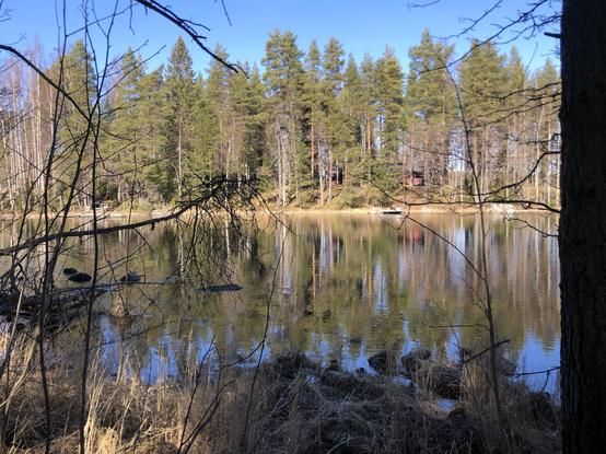 A calm river flows through tall pine and spruce forests. On the other bank, there is a small red hut. The sky is bright blue.